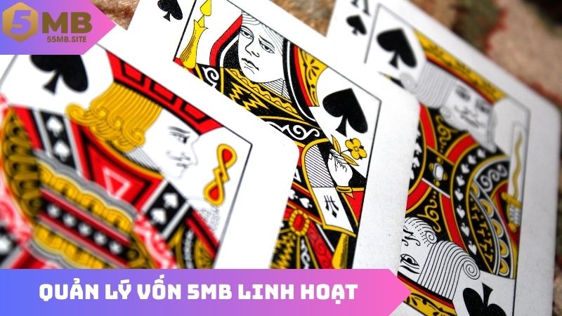 Quản lý vốn 5MB linh hoạt là mẹo tân thủ nên biết