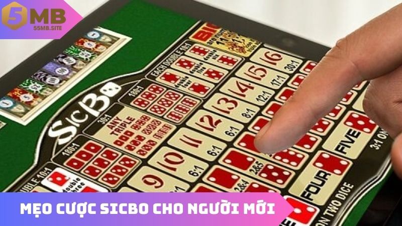 Mẹo cược sicbo chuẩn chỉnh cho người mới
