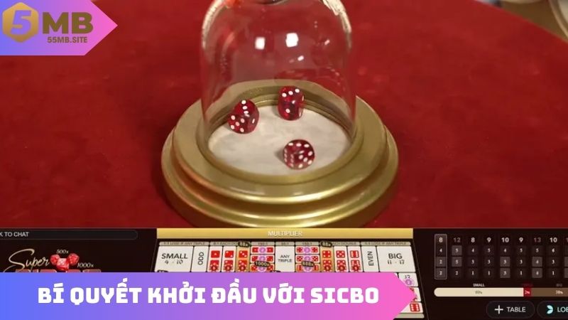 Nắm chắc bàn cược, bí quyết khởi đầu với Sicbo