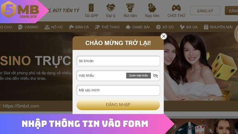 Nhập thông tin đăng nhập vào form