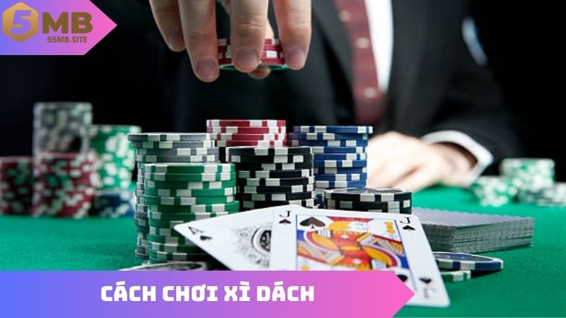 Cách Chơi Xì Dách